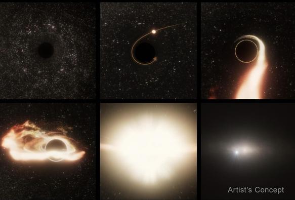 Wandering Black Hole Images
NASA concept art depicting the stages of a tidal disruption event (Credit: NASA, ESA, STScI, Ralf Crawford (STScI)).

Out of Center

Black holes are typically found at the centers of their galaxies, but this roaming void in space was the first observed offset from its galaxy, out of the roughly 100 tidal disruption events (TDEs) on record. Intriguingly, the host galaxy already contains a supermassive black hole at its center. The distance between the TDE and the galaxy’s central black hole was only a tenth of the distance from Earth to the Milky Way’s black hole—about 2,600 light-years.

The central black hole in the TDE’s galaxy is larger than the wandering one, and surprisingly, the two have not gravitationally bonded as a binary pair. Yet that could eventually change, with the roaming black hole possibly merging with the larger central black hole in the future.
black hole

“AT2024tvd is the first offset TDE captured by optical sky surveys, and it opens up the entire possibility of uncovering this elusive population of wandering black holes with future sky surveys,” said lead author Yuhan Yao of the University of California at Berkeley. “Right now, theorists haven’t given much attention to offset TDEs. “I think this discovery will motivate scientists to look for more examples of this type of event.”
The wandering black hole only becomes visible every tens of thousands of years—each time it consumes a star.
