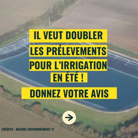 IL VEUT DOUBLER LES PRÉLÈVEMENTS POUR L'IRRIGATION EN ÉTÉ !
DONNEZ VOTRE AVIS

Même image de fond : CRÉDITS : NATURE ENVIRONNEMENT 17