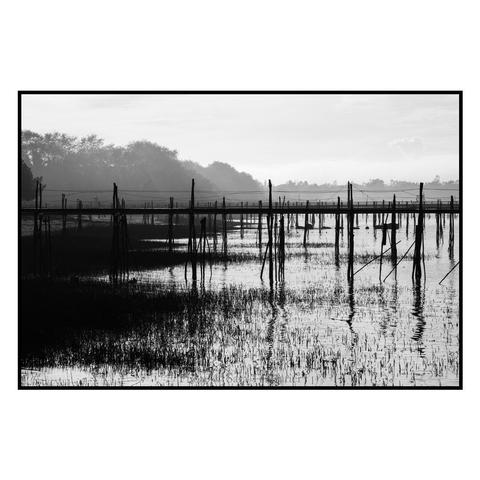 (English follows) Photographie noir et blanc, format paysage, ratio 3x2. Les piles de bois soutenant les pêcheries émergent de l'eau à marée basse, dans l'estuaire de la Loire. Prise à contre-jour, l'image offre des contrastes forts : le rivage à l'arrière-plan, fait d'arbres, est dans des tons gris moyens à gris clair. L'eau, très blanche, laisse émerger les piles de bois, noires, ainsi qu'une prairie d'algues - dédoublées par leurs reflets, également très sombres. Le tiers supérieur de l'image est constitué du ciel, dans les tons très clairs également. 

Black and white photograph, landscape format, 3x2 ratio. The wooden piles supporting the fisheries emerge from the water at low tide, in the Loire estuary. Taken against the light, the image offers strong contrasts: the shoreline in the background, made up of trees, is in medium to light gray tones. The very white water reveals the black piles of wood and a meadow of seaweed - doubled by their reflections, which are also very dark. The upper third of the image is made up of the sky, also in very light tones.
