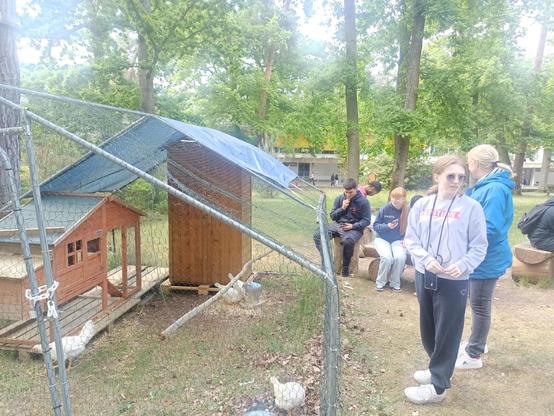 Depuis le 7 mai, trois poules et un coq ont pris résidence au lycée Louis-Bascan, à Rambouillet (78). Ces gallinacés ne sont pas là pour picorer des miettes de savoir : ils s’inscrivent dans un projet pédagogique original haut perché mêlant autonomie alimentaire,  éducation au développement durable (EDD), responsabilité et un soupçon de bonne humeur.