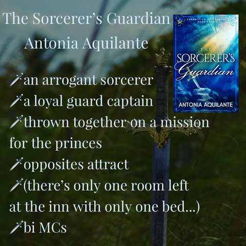 The Sorcerer’s Guardian  Antonia Aquilante  -an arrogant sorcerer  -a loyal guard captain  -thrown together on a mission for the princes -opposites attract  -(there’s only one room left at the inn with only one bed…) -bi MCs