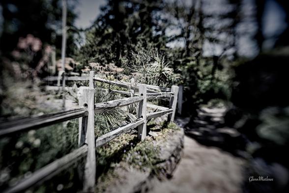 A wooden fence lines a path in a lush garden, surrounded by various plants and greenery. The image has a soft focus effect, creating a dreamy atmosphere.
