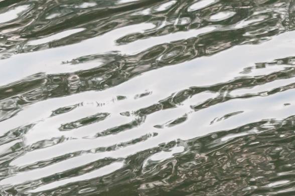 Rippled water surface with essentially parallel ripples, reflecting alternate  images of silver-white sky and unidentifiable grey-green foliage. The overall effect is of an unevenly beaten silver surface, and the intention is not representative but a fluid, abstract image.