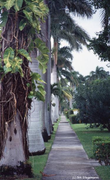 Miami Beach