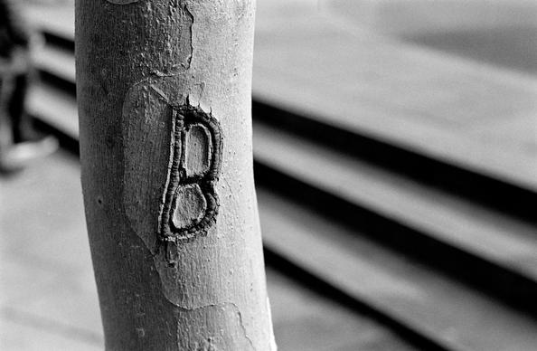 The black and white image shows the trunk of a tree with the letter “B” deeply carved into its bark, set against a blurred background of concrete steps.