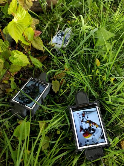 A group of Digital bugs running in the grass at the base of a tree. Digital bug is an autonomous video screen in a 3D printed plastic housing figuring a bug.