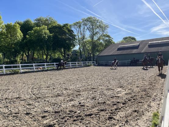 Bak met paarden