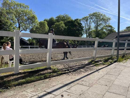Bak met paarden