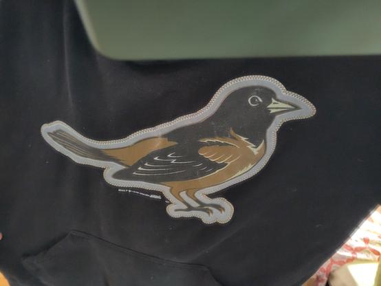 a bird on a shirt, with gild and black marks and a little curved beac