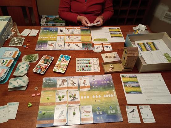 The WingSpan board game laid out on a dining table with a game in progress.