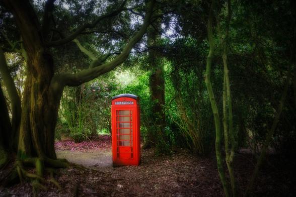 Waldstück in einem englischen Garten mit einer traditionellen Telefonkabine.