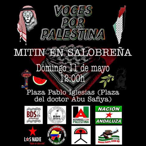 Voces por palestina, mitin en salobreña domingo 11 plaza Pablo Iglesias (plaza del doctor Abu safiya) de fondo aparece una pelestina junto a iconos de la región palestina. Una rama de olivo una sandía y un león con palestina ena cabeza