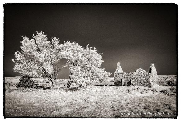 A toned black and white infrared photo of a ruined chapel and two hawthorn trees against a blue sky.