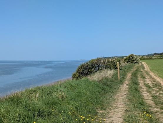A grassy path runs alongside a coastline, bordered by a tranquil sea under a clear blue sky.