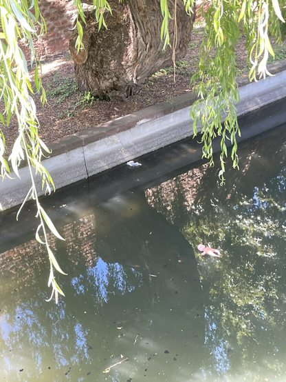 Une poupée qui b plastique flotte dans un canal