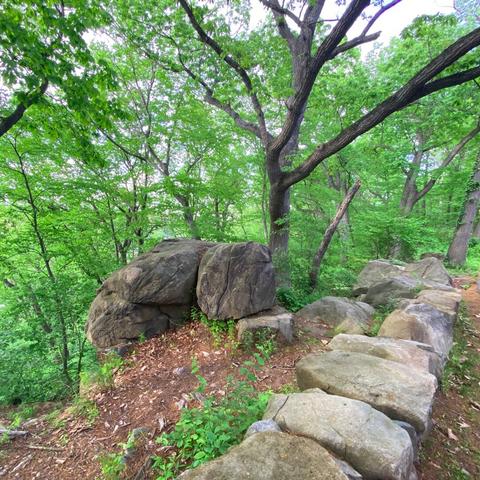 Lower right foreground is a partial rock wall (large, light gray rocks) running closest to a north-south direction.  To the left of the wall are additional, darker gray boulders resting on brown dirt and on the edge of a steep valley drop.  Beyond that are trees blooming with bright green leaves far into the distance and deep into the valley.  A blue sky densely populated with white clouds peeks through here and there behind the leaves.