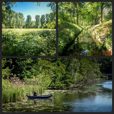 Fotocollage. 1: visser in boot. 2. Witte bloempjes met net daar achter gele bloempjes. 3. Beek met groene bomen erom heen.