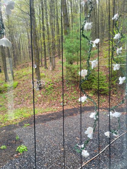 Sur la photo nous sommes derrière une porte patio où l'on voit ce rideau de guirlandes. En arrière plan, une forêt !