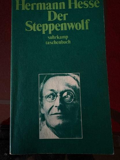 Hermann Hesse - Der Steppenwolf