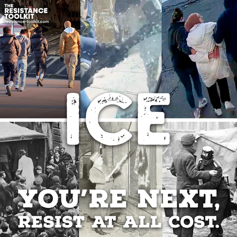 Three photos and the top show a line of refugees being escorted on to a military plane, an ICE agent smashing a car window, and agents arresting a college student. Three photos below from the 1940's show a crowd of people watching Nazi Gestapo load people on to a truck, a police officer smash a window during Krystalnacht, and police office searching a man on the street. The word ICE is centered above both sets of photos. Text at the bottom reads "You're next, resist at all cost."
