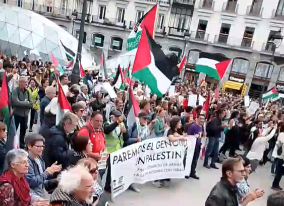 En medio de una multitud portando muchas banderas palestinas, pancarta encabezando una de las secciones que lee: paremos el genocidio en Palestina.