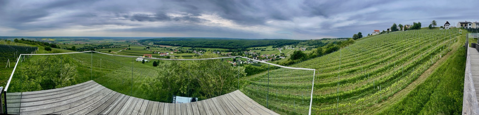 Panoramablick von der Aussichtsplattform mit Blick ins grüne Tal