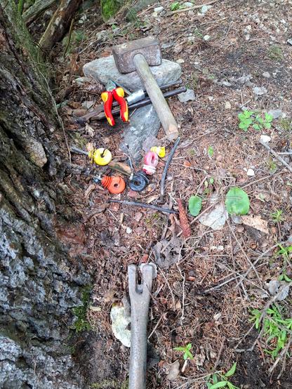 crowbar with goat's foot, pliers, combination pliers, candle wrench with flat screwdriver and a hammer lying on the forest floor. next to nails and insulators that have been pulled out