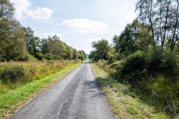 The image shows a rural road stretching through a natural landscape under a partly cloudy sky. To either side of the road are lush green areas with vegetation including grass, bushes, and clusters of trees. This setting typically suggests a peaceful countryside road, often used for quiet walks or drives away from the hustle of urban areas. It's a serene scene that captures the beauty of natural, undeveloped land.
