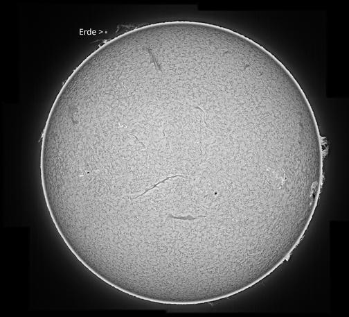 Komplette Sonne in H-Alpha