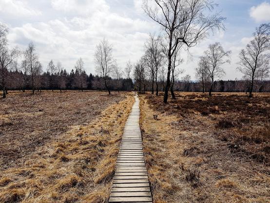 The image shows a scenic landscape featuring a wooden boardwalk extending through a grassy and somewhat barren field, likely a wetland or bog. It's surrounded by leafless trees and shrubbery, suggestive of either early spring or late fall when trees are devoid of foliage. The sky is partly cloudy, allowing for a fair amount of sunlight, yet the overall tones are muted with a predominance of brown and beige colors suggesting a transitional season. The environment appears peaceful and is typical of natural trails used for walking and experiencing nature without disturbing the surrounding ecosystem.