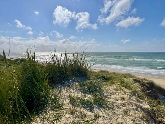 This image features a beautiful beach scene. The foreground shows a sandy dune with tufts of tall, green beach grass waving in the wind. In the background, the ocean stretches out with its waves crashing onto the shore, shimmering under a mostly clear sky adorned with few white clouds. The scene conveys a natural and peaceful coastal environment, typically seen in protected seashore areas.