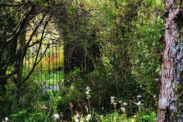 An ornate black metal gate is partially visible through a lush green archway of trees and foliage. White flowers bloom in the foreground, and sunlight filters through the leaves in the background.