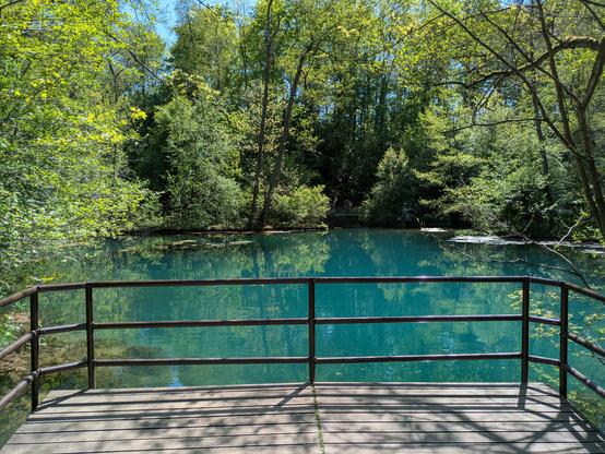 ein idyllischer Teich mit blauen kalkreichen Wasser umrandet von grünen Bäumen und Sträuchern, im Vordergrund ein Holzsteg mit Geländer