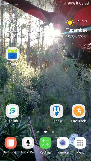 Pantallazo de imagen del día de hoy de fondo de celular, con el sol amaneciendo entre un bosque de pinos. Se ven ademas los datos del día y los APP's de utilidad del momento.)