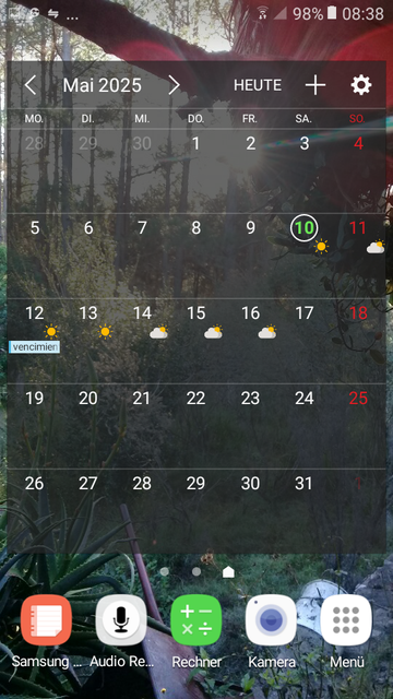 Pantallazo de imagen del día de hoy de fondo de celular, con el sol amaneciendo entre un bosque de pinos. Ademas se ve el calendario del mes con la predicción de tiempo por siete días y anotaciones de eventos o citas.