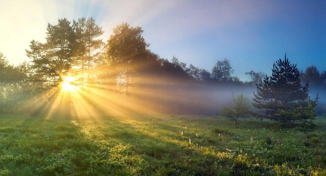 Photo of the sun shining over a field