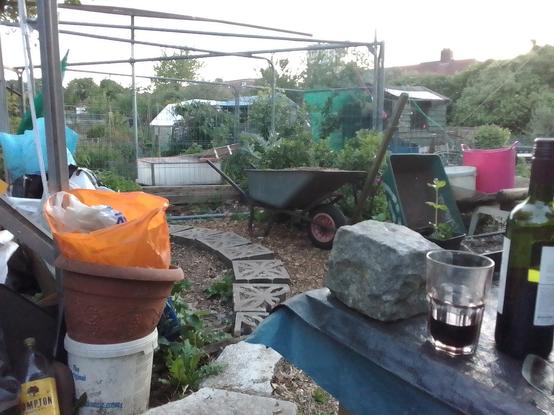 View from a very much seated position looking across the allotment.