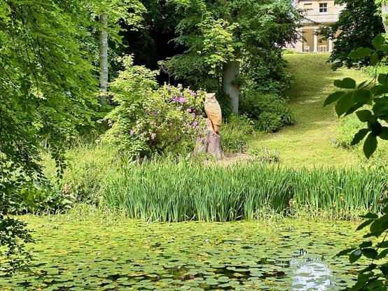 In the foreground, there’s a pond covered with green lily pads, their circular leaves creating a dense, almost carpet-like effect across the water’s surface. Surrounding the pond are tall reeds and grasses, adding texture and depth to the scene. Beyond the pond, nestled among lush greenery, there’s a beautiful carved wooden owl perched on a tree stump — a lovely and whimsical feature that gives the setting an enchanted woodland feel.

Behind the owl, there’s a gentle grassy slope leading up toward a classical-looking stone building partially visible through the trees. The building has columns and a shaded veranda, giving it an elegant, slightly hidden-away look.