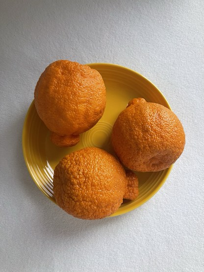 In a shallow bowl plates are three large sumo oranges