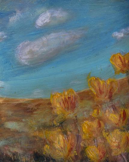 Fields of gold