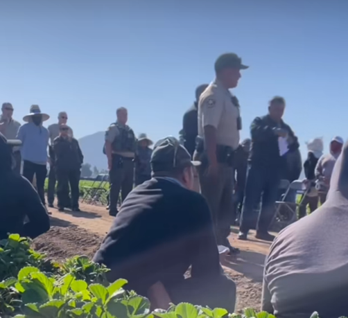 Aparente detención reciente en el condado de Ventura, California. La foto es del video de la cuenta SinFiltro en Facebook.
