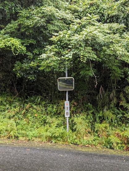 A small square-shaped road mirror in the middle of a road, surrounded by lush vegetation.