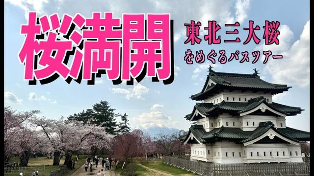 東北三大桜名所を巡る春のバス旅　バスで楽チン親子旅