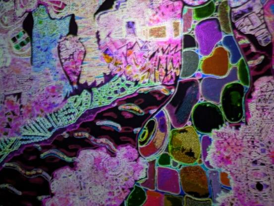 A close-up of an organic, changing video image. Pink and purple predominate