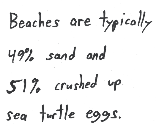 Beaches are typically
49% sand and
5190 crushed up.
sea turtle eggs.