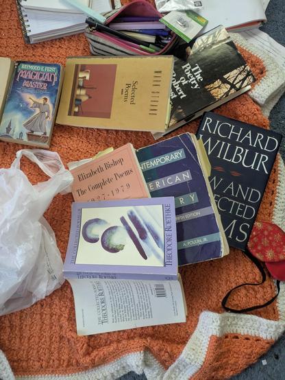 Books open, upside-down, as if to save pages, on an orange and white knit or crocheted blanket laid haphazardly on blue carpet. Books:
- Raymond E. Feist, Magician and Master (not poetry)
- Mark Strand: Selected Poems
- The Poetry of Roberty Frost
- Elizabeth Bishop: The Complete Poems 1927-1979
- Anthology of Contemporary American Poetry, Fifth Edition
- The Collected Poems of Theodore Roethke

There is also a pencil case filled with an assortment of pens and pencils, and a sleep mask.