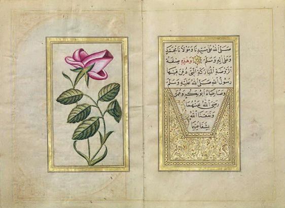 Galatalı Ahmed Naili Efendi