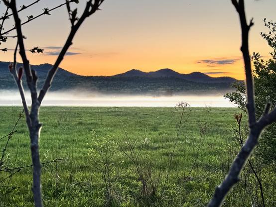 a fog bank on a green fields with the Adirondack sunset in the background