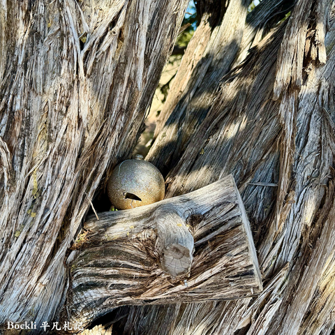 A holiday ornament tugged in between branches of rough textured wood. The ornament has a split and a small hole on it.