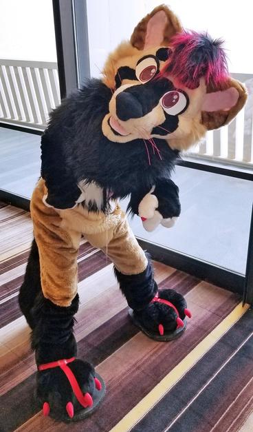 A ferret fursuiter is leaning over and looking at the viewer curiously